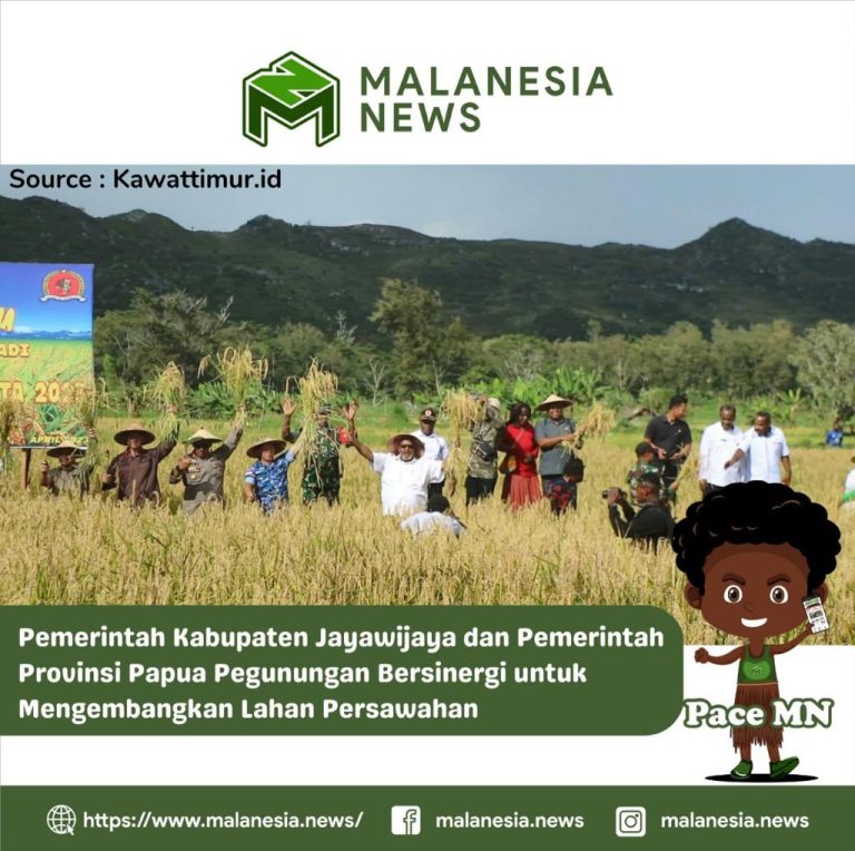 Pemerintah Kabupaten Jayawijaya dan Pemerintah Provinsi Papua Pegunungan Bersinergi untuk Mengembangkan Lahan Persawahan