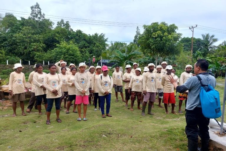 Upaya Rehabilitasi Mangrove, BRGM RI Gelar SLMM di Biak Numfor