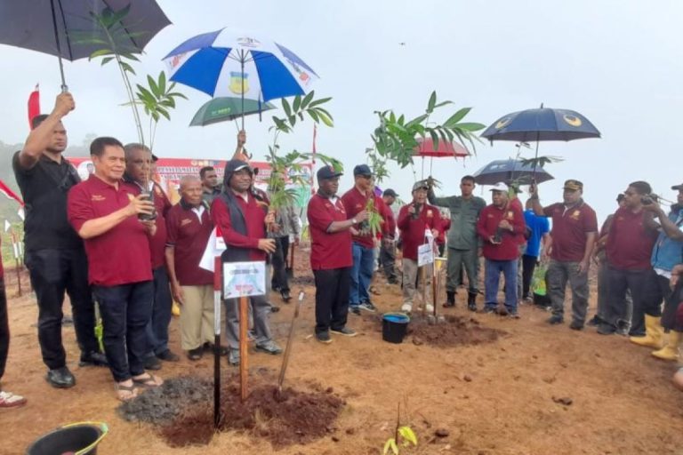 Plh Gubernur Papua Ajak Warga Setempat Berperan Serta Dalam Pemulihan Lingkungan