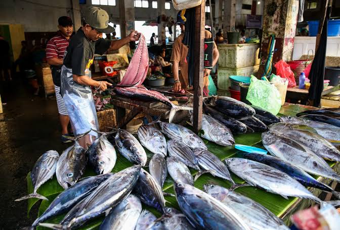 Harga Ikan di Pasar Langgur Malra Melonjak Naik Akibat Cuaca Buruk